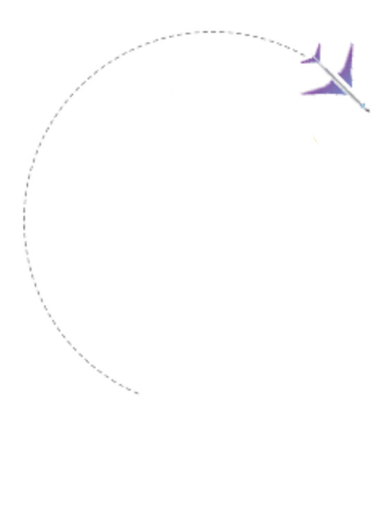 waes placement solutions